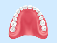 レジン床入れ歯（保険適用）